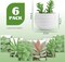 Set of 6 Mini Artificial Succulent Plants in Pots – Small Fake Potted Plants for Home Decor, Bedroom, Bathroom, Office Desk & Shelf Aesthetic Decorations